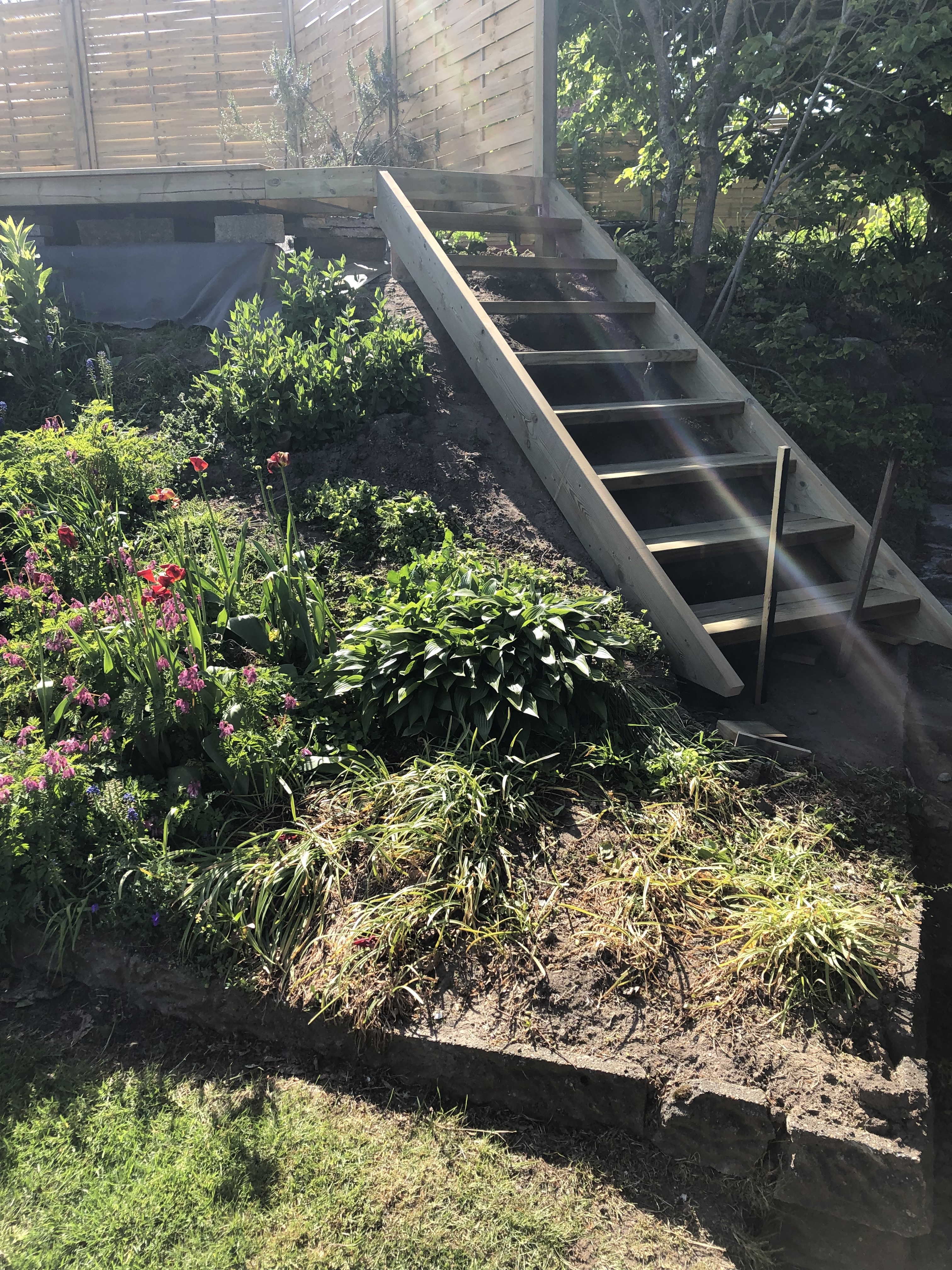 Tag projekt i Struer